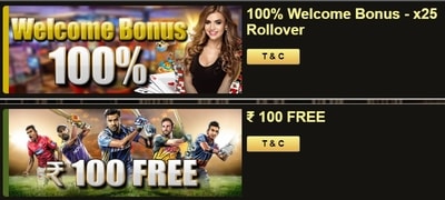 K9Win Sportsbook Welcome Offers